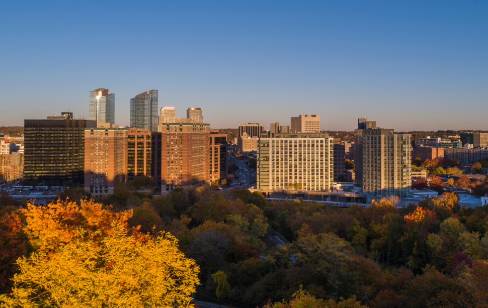 White Plains